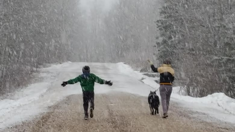 Snowfall warning issued for parts of southern Manitoba