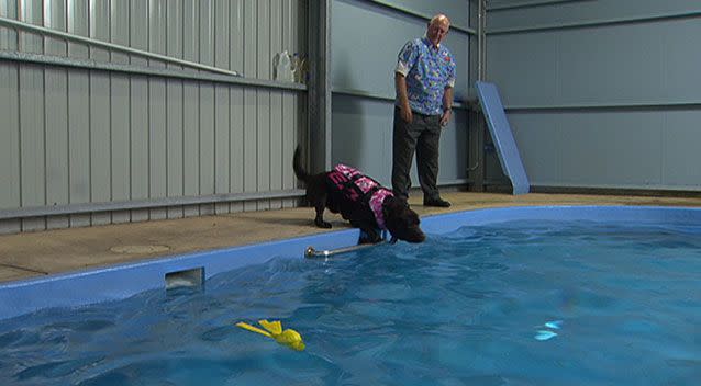 Jim the dog and Dr Pin Needham prepare for another exercise session. Photo: 7News.