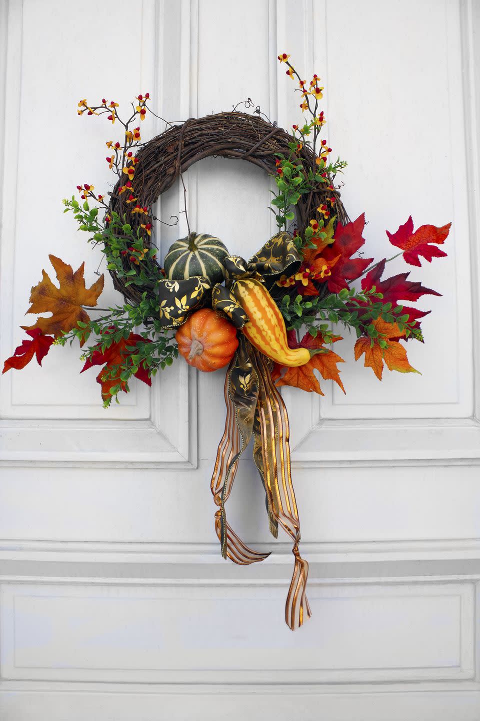 Gourds and Leaves