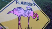 Winnipeg councillors mull 'Flamingo Crossing' in Transcona