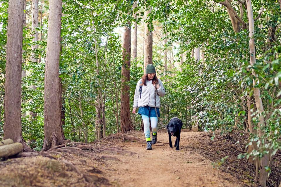 Woman hiking with her black lab on a mountain forest path