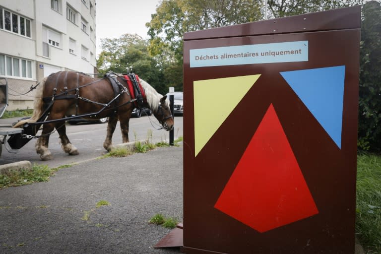 Un cheval ramasse des déchets alimentaires, le 16 octobre 2023 à Stains, au nord de Paris (Geoffroy VAN DER HASSELT)