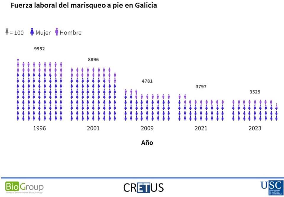 Fuerza laboral dedicada al marisqueo en Galicia. Gumersindo Feijoo/Datos de la Xunta de Galicia