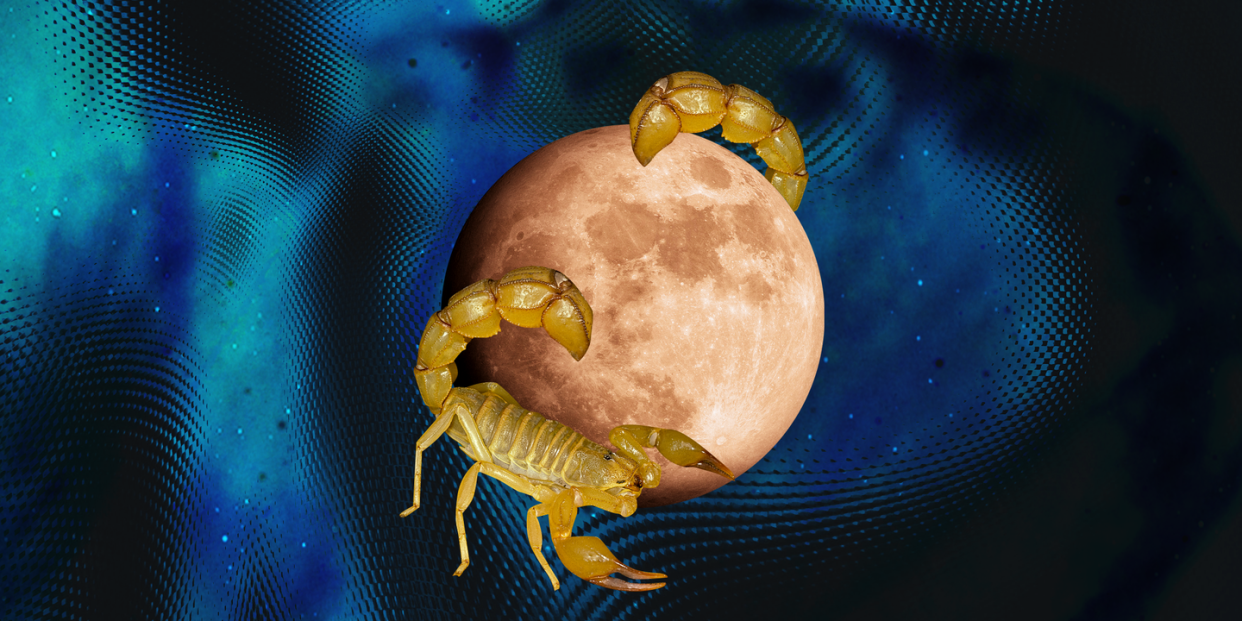 full moon in scorpio, showing a scorpion curled around a full moon