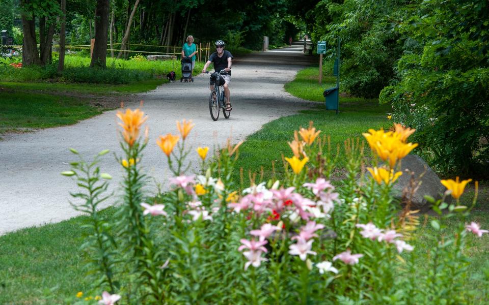 Flowers greet bicyclists on the Upper Charles Rail Trail in Holliston, July 7, 2022.