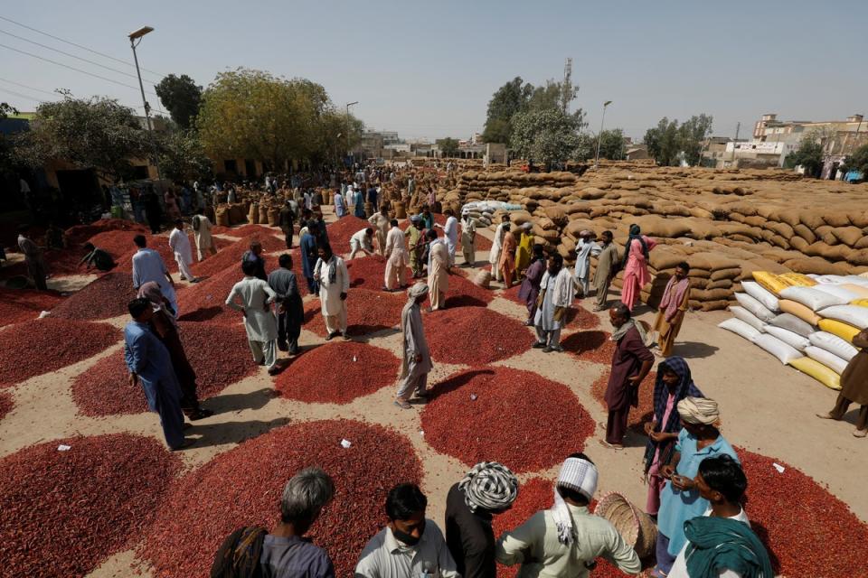 Traders work at the Mirch Mandi wholesale chilli market (Reuters)