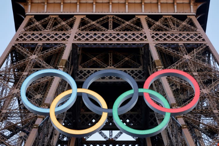 France will hold snap elections just weeks before the Paris Olympics (Ludovic MARIN)