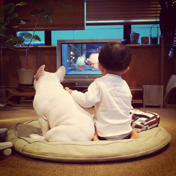 A boy and his bulldog