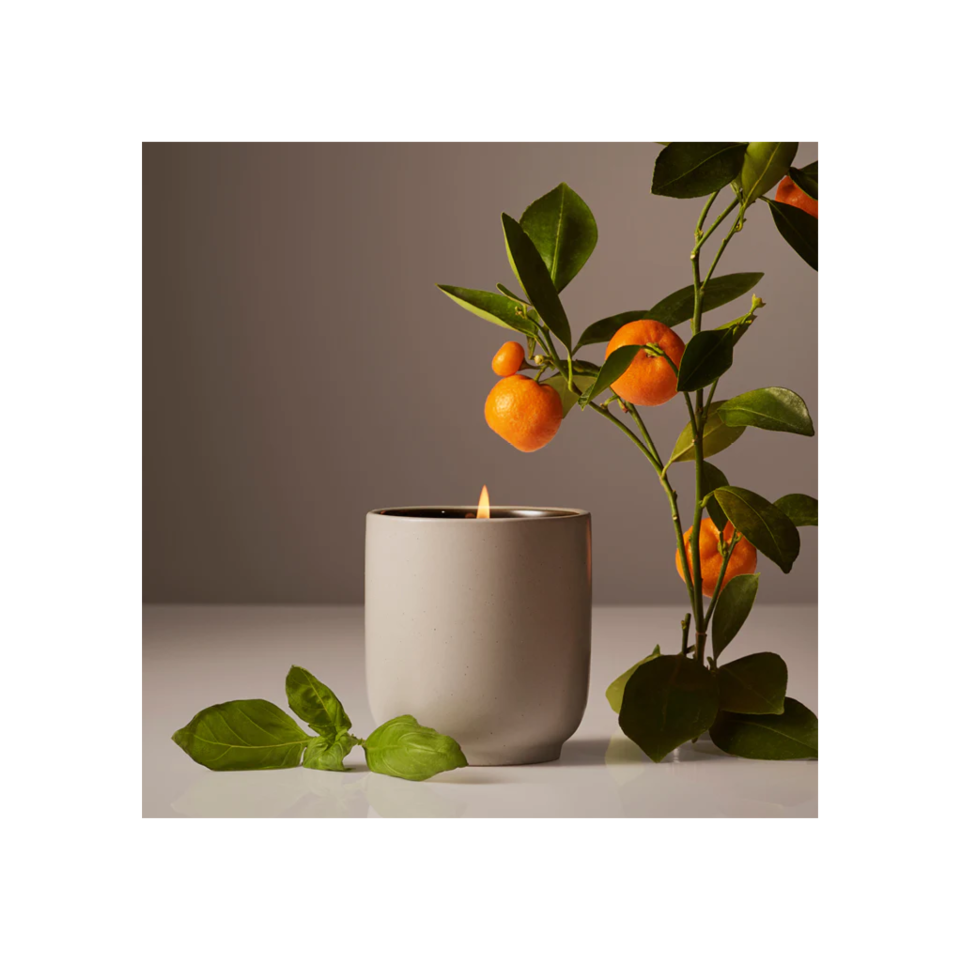 Homecourt Mandarin Basile Candle