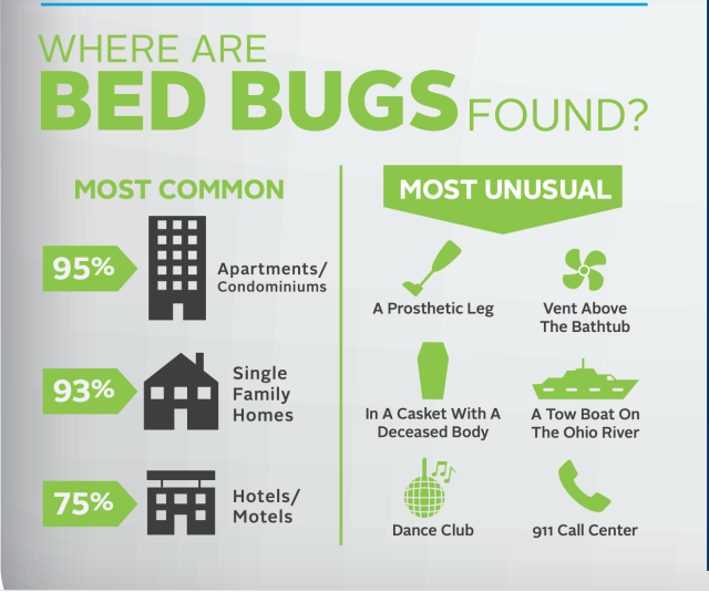 7 Las Vegas Strip hotels had reports of bed bugs