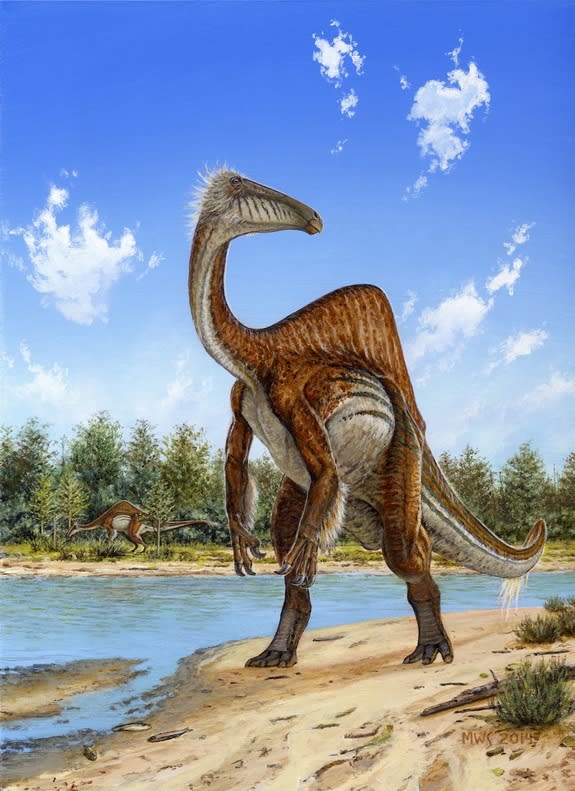 The ostrichlike dinosaur <i>Deinocheirus mirificus</i> lived about 70 million years ago in what is now Mongolia. The odd creature had stubby toes that would have helped it tramp through muddy river bottoms looking for fish.