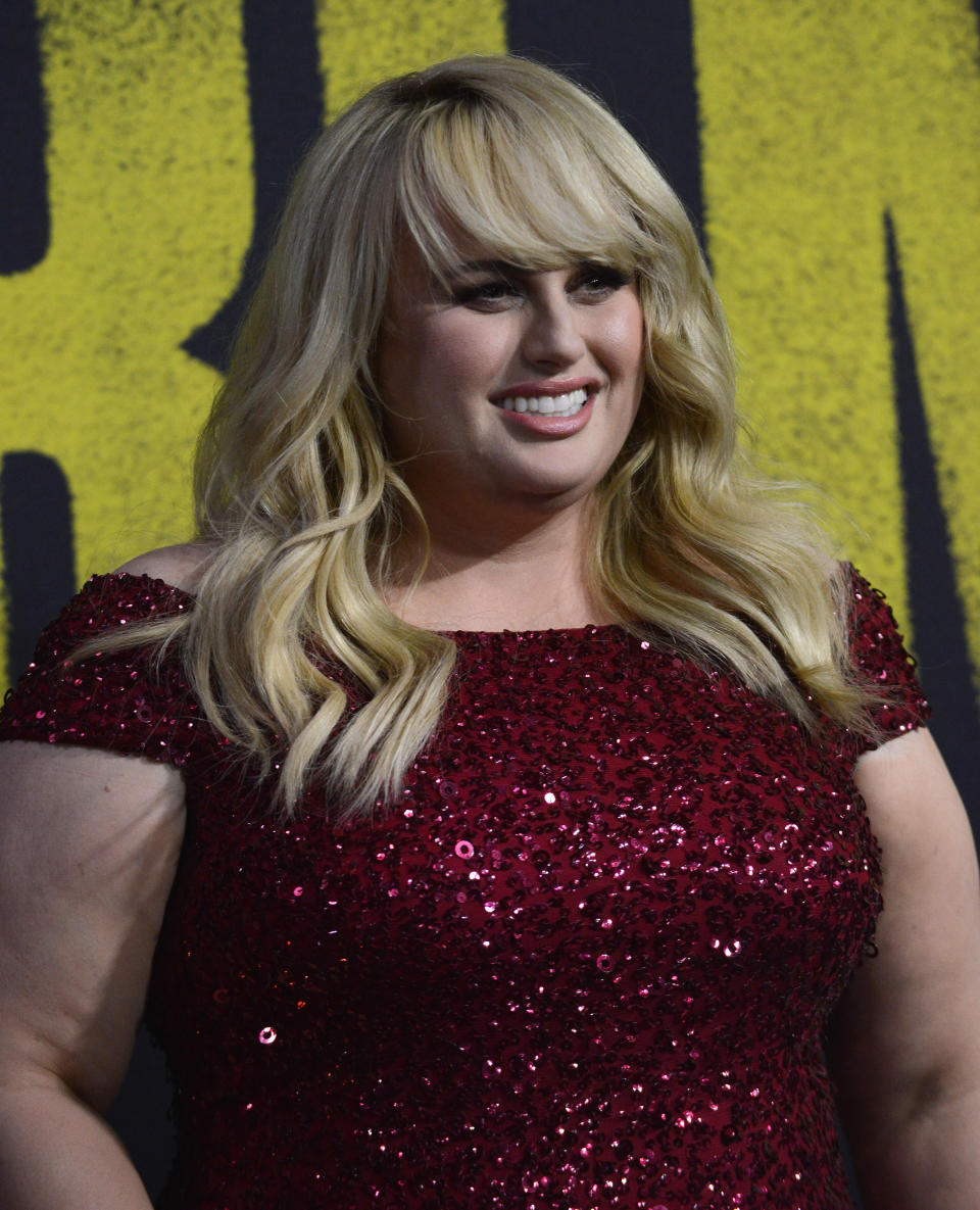 HOLLYWOOD, CA - DECEMBER 12:  Actress Rebel Wilson arrives for the premiere of Universal Pictures' 'Pitch Perfect 3'  held at The Dolby Theater on December 12, 2017 in Hollywood, California.  (Photo by Albert L. Ortega/Getty Images)