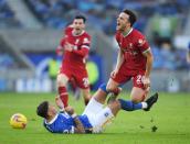 Premier League - Brighton & Hove Albion v Liverpool