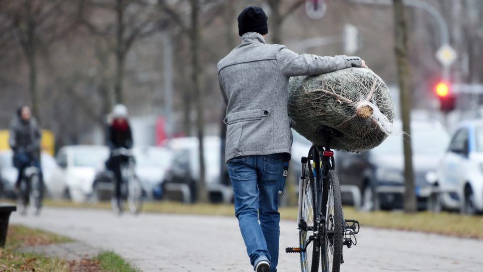 Einen Weihnachtsbaum zu kaufen, ist eine Sache, ihn unbeschadet nach Hause zu transportieren, eine andere. (Bild: dpa)