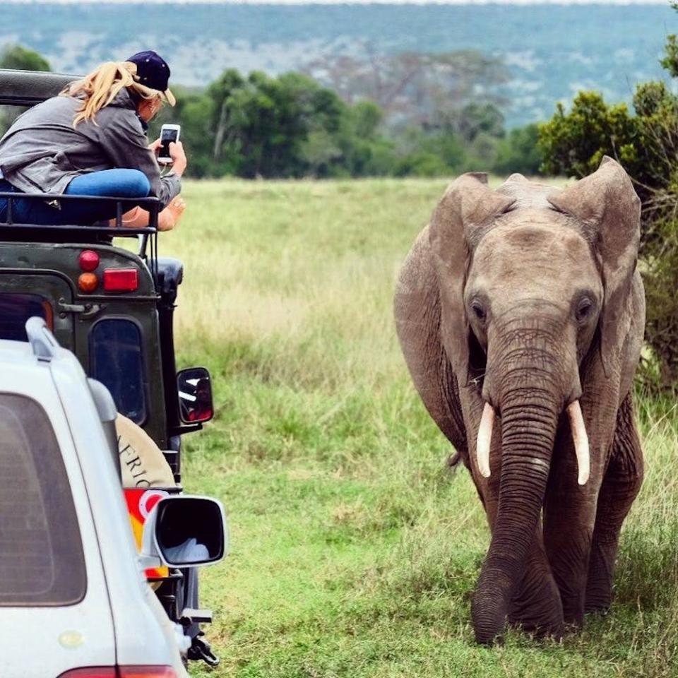 Ol Pejeta Conservancy