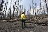 <p>Fire expert Ron Steffens, who was Incident Commander on the Berry Fire until a day earlier, examines forest gutted by the blaze in Grand Teton National Park, Wyo. (AP Photo/Brennan Linsley) </p>