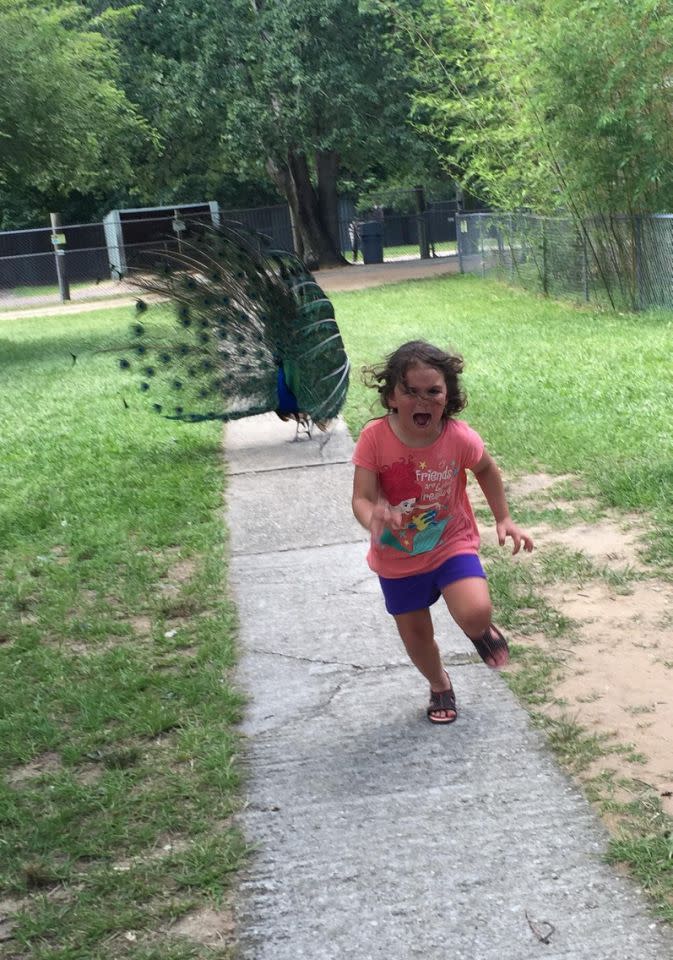 Corrió aterrorizada al ver a un pavo real