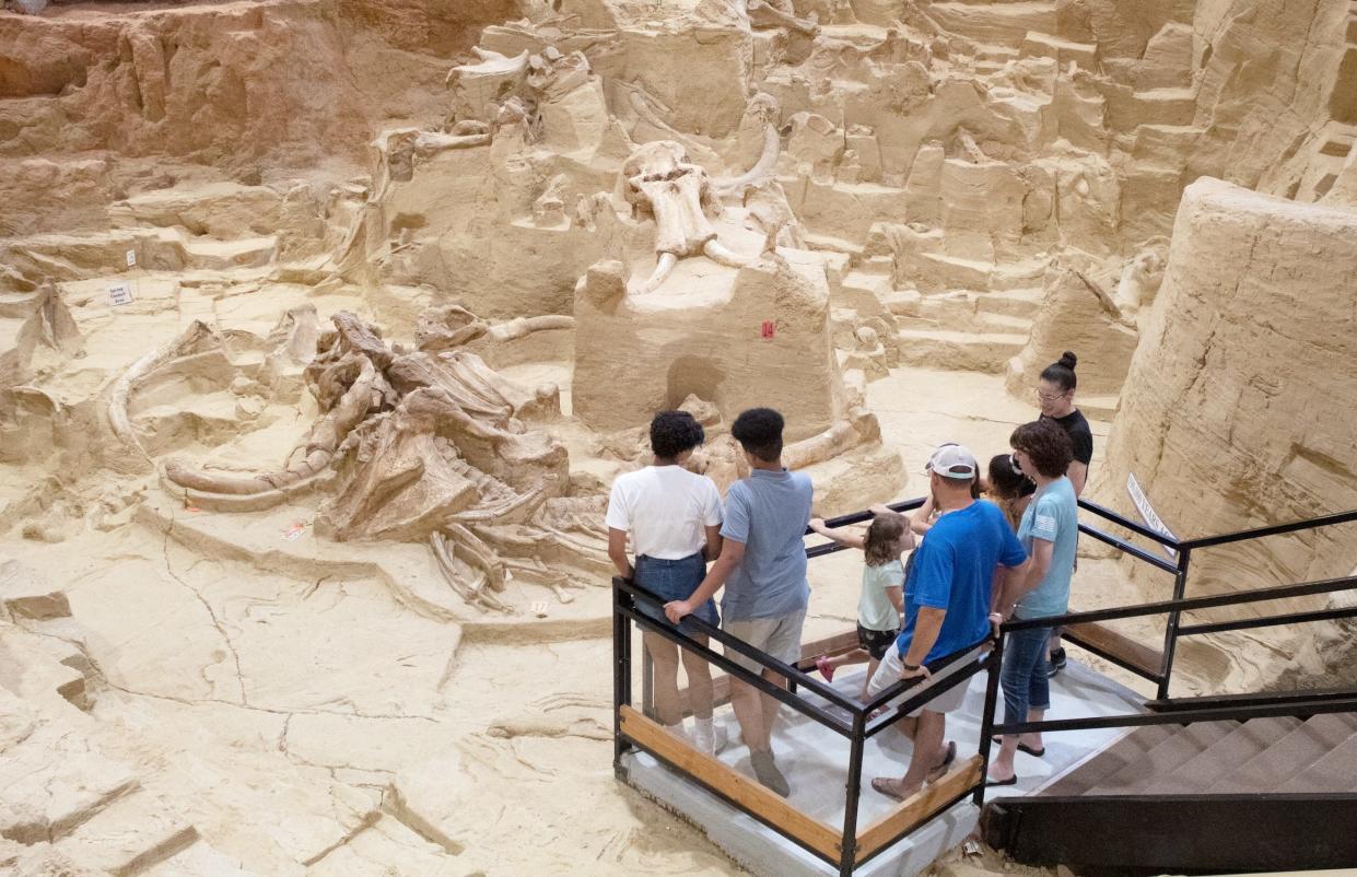 People stand on a platform looking at mammoth bones