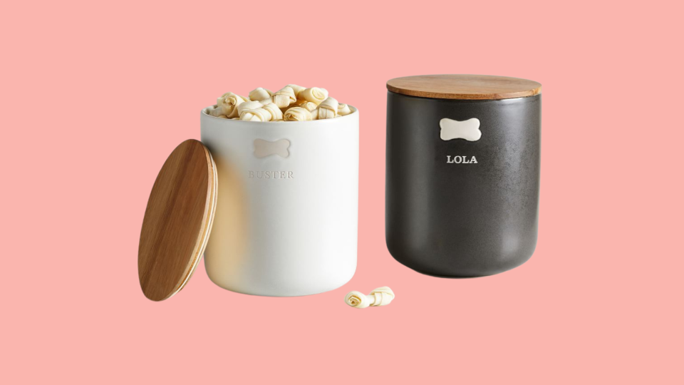 Best holiday gifts for dogs: Pottery Barn treat jar.