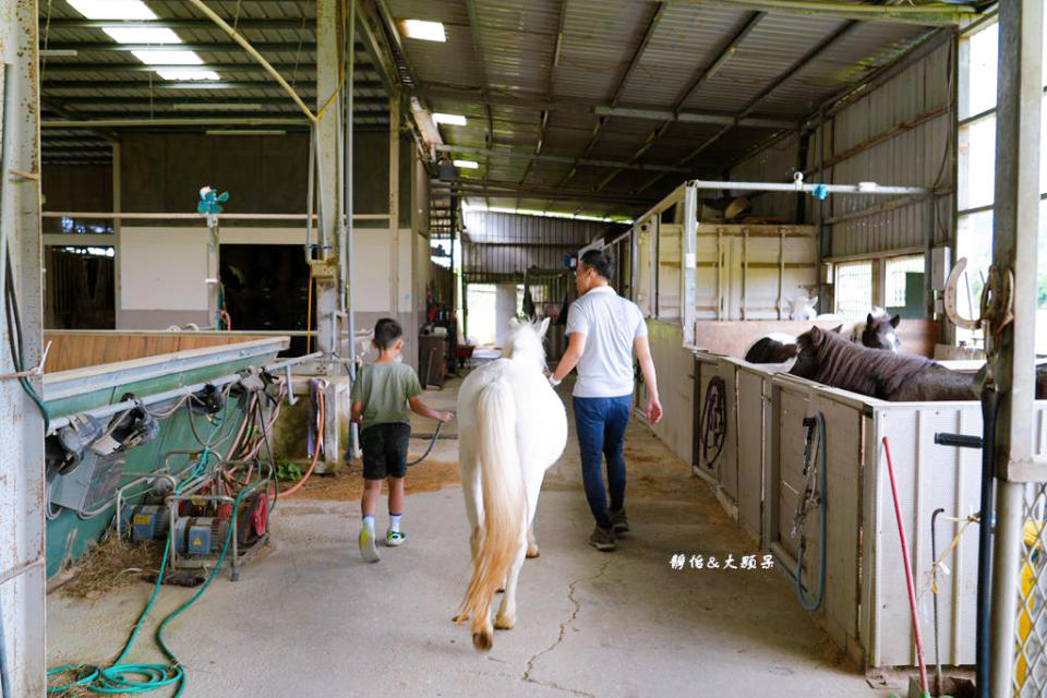 新竹尼普頓馬術創藝園區