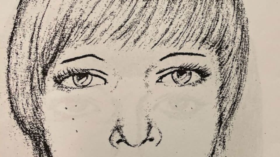 This sketch was used to help identify the murdered woman in 1974, a few years after skeletal remains of two victims were found in a shallow grave in Ledyard, Connecticut. - Pedro Muniz