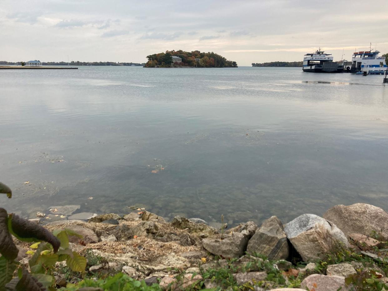 Put-in-Bay island conservancy and park district are asking for donations to preserve a historic home site and nearly 30 acres of forest, meadow and bayfront property on South Bass Island.