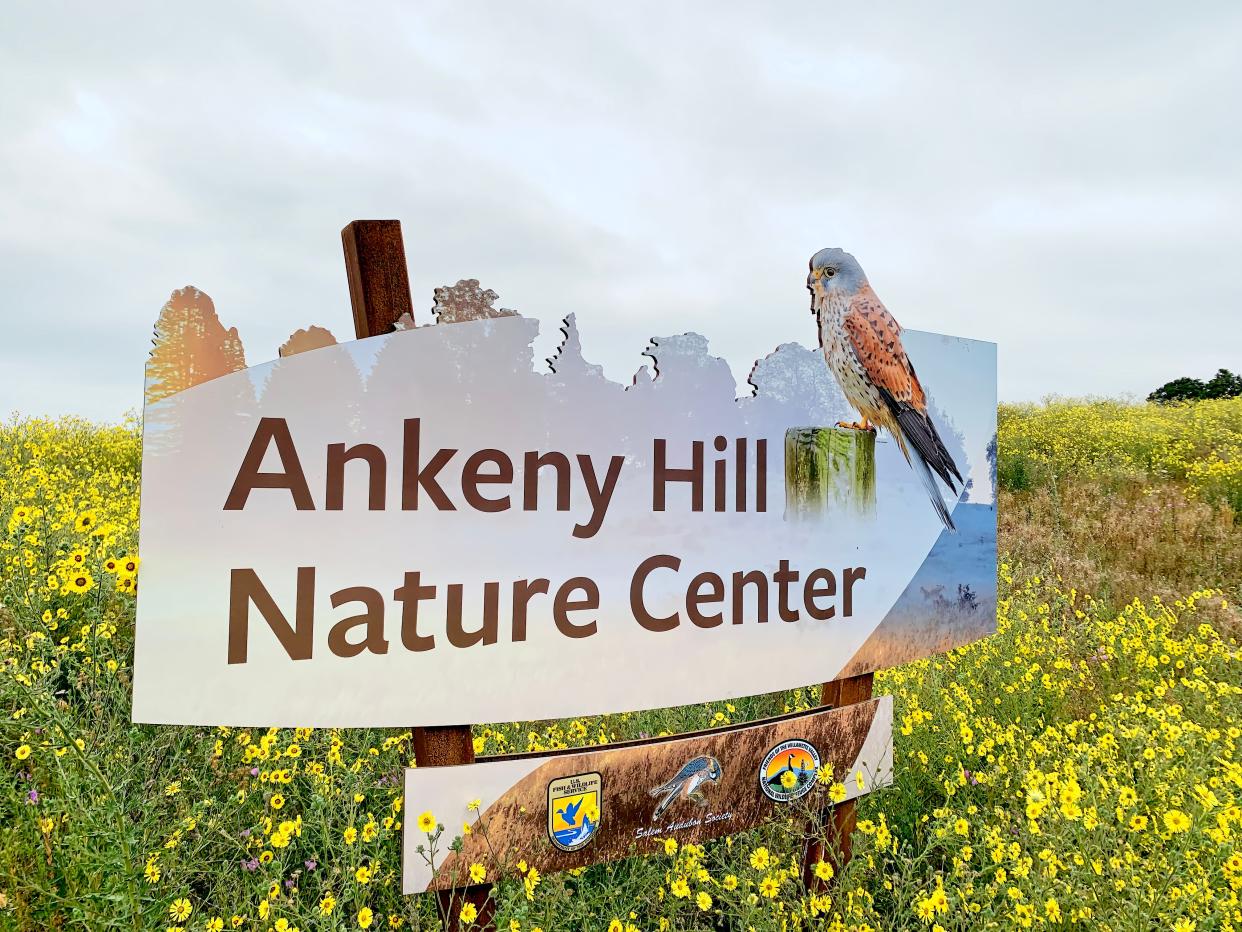 The Ankeny Hill Nature Center at the National Wildlife Refuge provides multiple educational environments, including the Nature Explore area for kids, learning stations along accessible pathways, and discovery elements throughout the refuge.