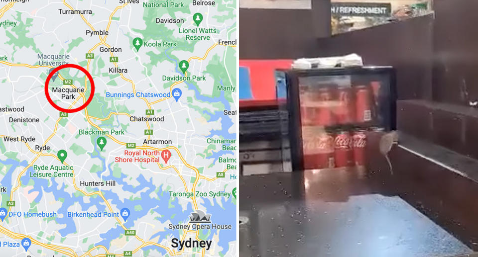 Left: A picture of a map of Sydney indicating the location of the Macquarie shopping centre, and right, a picture of the mouse on the countertop. 