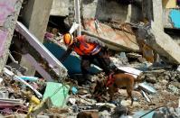 An Indonesian police officer with a K9 unit sniffer dog search for victims among the ruins of a hospital building collapsed following an earthquake in Mamuju