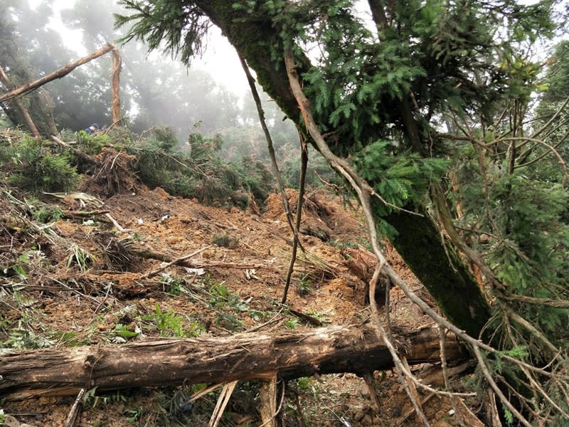 疑似撞擊點，山上大霧視線不佳，調空拍機來探勘地型協助搜索。（中央社／新北市消防局提供）