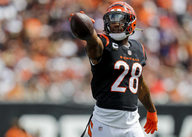 Cincinnati Bengals lose to Baltimore Ravens 27-24