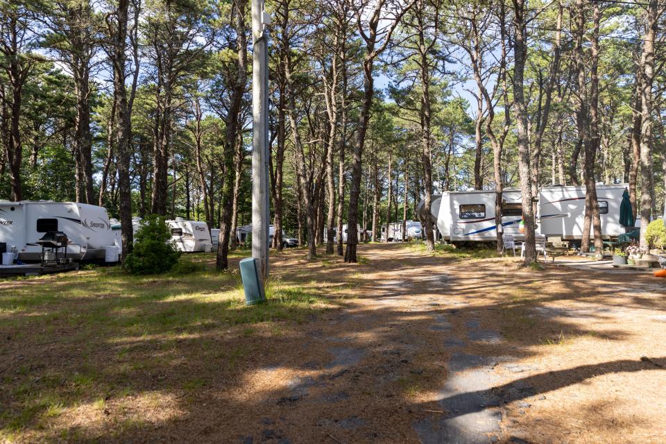Maurice's Campground at 80 Route 6 in South Wellfleet is being considered for purchase by Wellfleet voters at the Sept. 10 special town meeting. The Select Board signed a purchase and sale agreement in April for the 21-acre parcel.