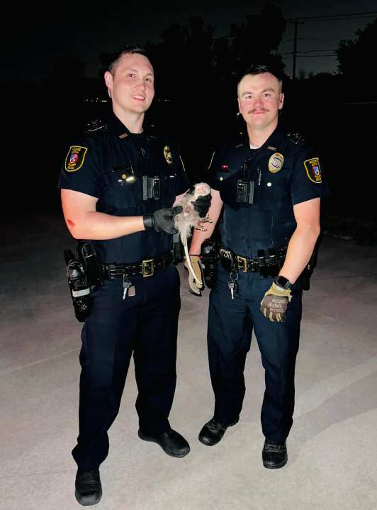 Officers Garbani and Keller rescue opossum. Image courtesy Moore Police Department.