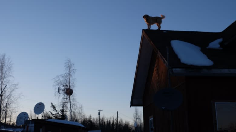 A roof-dwelling dog's eye view of Fort Good Hope, N.W.T.