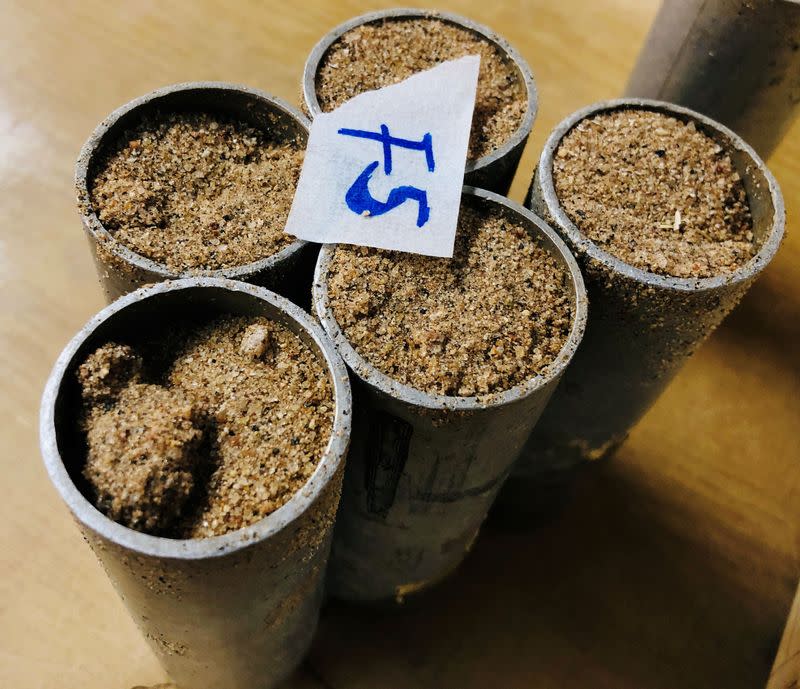 Sand used to hatch locusts eggs is seen inside a laboratory at the International Centre of Insect Physiology and Ecology (ICIPE) in Nairobi