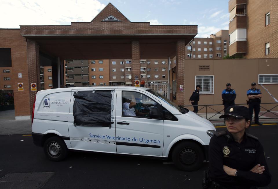 A veterinarian van apparently carrying Excalibur, the dog of Spanish nurse Teresa Romero, who contracted Ebola, leaves from her apartments complex in Alcorcon, outside Madrid, October 8, 2014. Madrid regional authorities said they would euthanize the nurse's dog Excalibur to avoid possible contagion, sparking an outcry by animal rights activists to save the dog. REUTERS/Sergio Perez (SPAIN - Tags: HEALTH ANIMALS CIVIL UNREST)