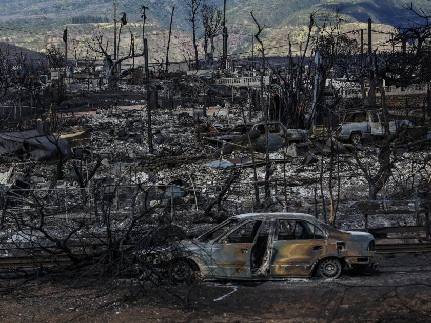 Driven by fierce winds, a fire raged through the Hawaiian island of Maui in August, killing more than 90.