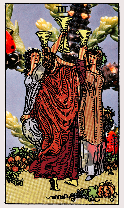 three of cups