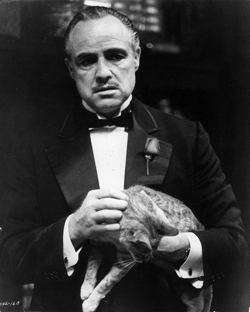 The Cat From 'The Godfather'