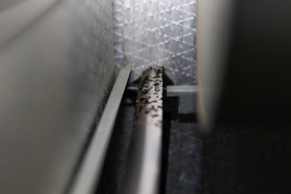 Biological growth is pictured here on the drain pan inside the HVAC unit. According to the Environmental Protection Agency, biological contaminants can include bacteria, mold, mildew, viruses, animal dander, dust, mites and pollen. Central air systems can become a breeding ground for those contaminants and spread them through the home.