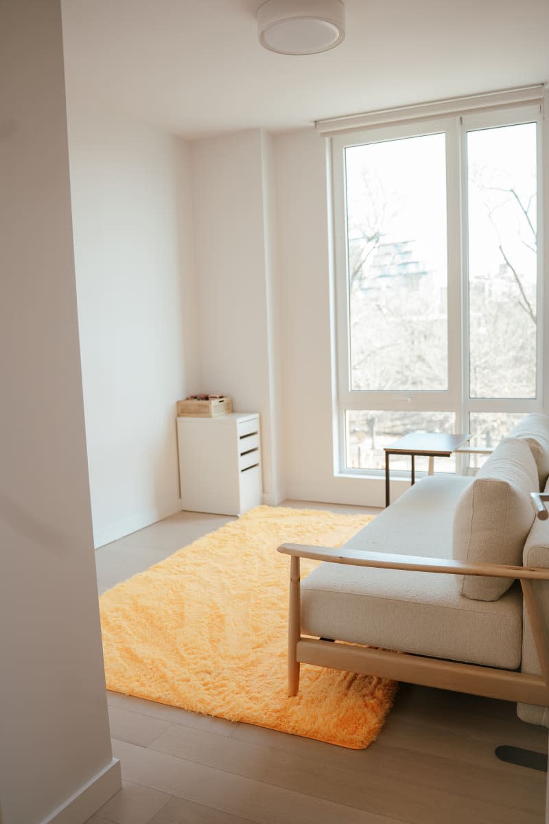Orange rug in spare bedroom.