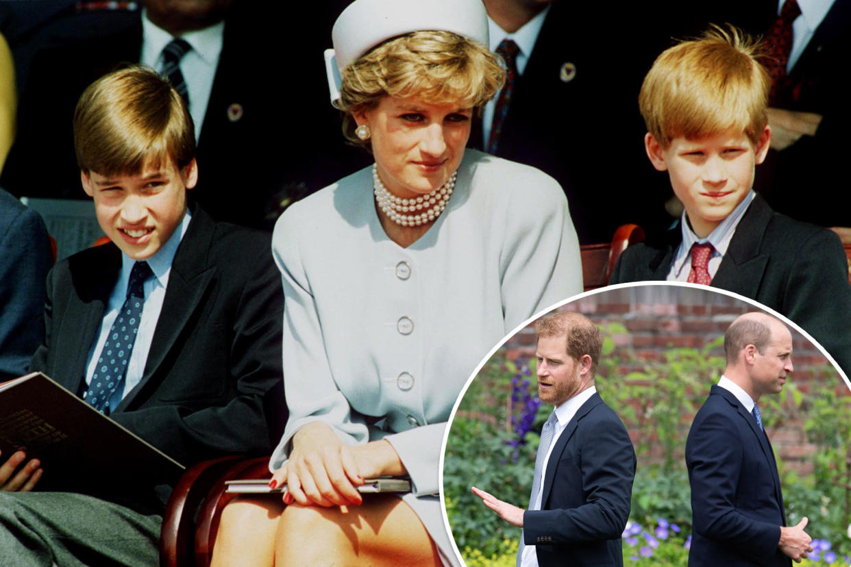 Princess Diana would have 'broken heart' over Harry's 'desertion,' William has 'drawn a line in the sand': expert
