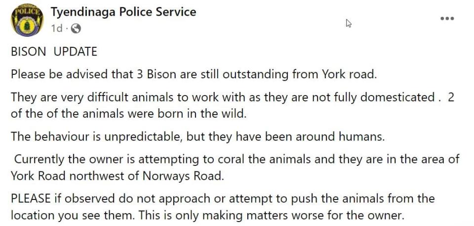 A post by Tyendinaga Police Service on Thursday warning people not to approach bison.