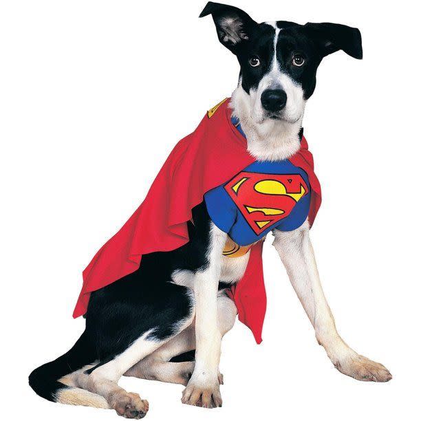 Superman Dog Costume