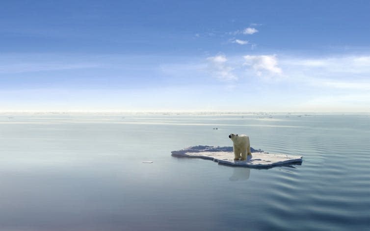 <span class="caption">Polarising.</span> <span class="attribution"><a class="link " href="https://www.shutterstock.com/image-photo/polar-bear-on-ice-floe-43510282?src=c4_R5cwUIsnRCEg_a2y3-g-2-39" rel="nofollow noopener" target="_blank" data-ylk="slk:Shutterstock/Jan Martin Will;elm:context_link;itc:0;sec:content-canvas">Shutterstock/Jan Martin Will</a></span>