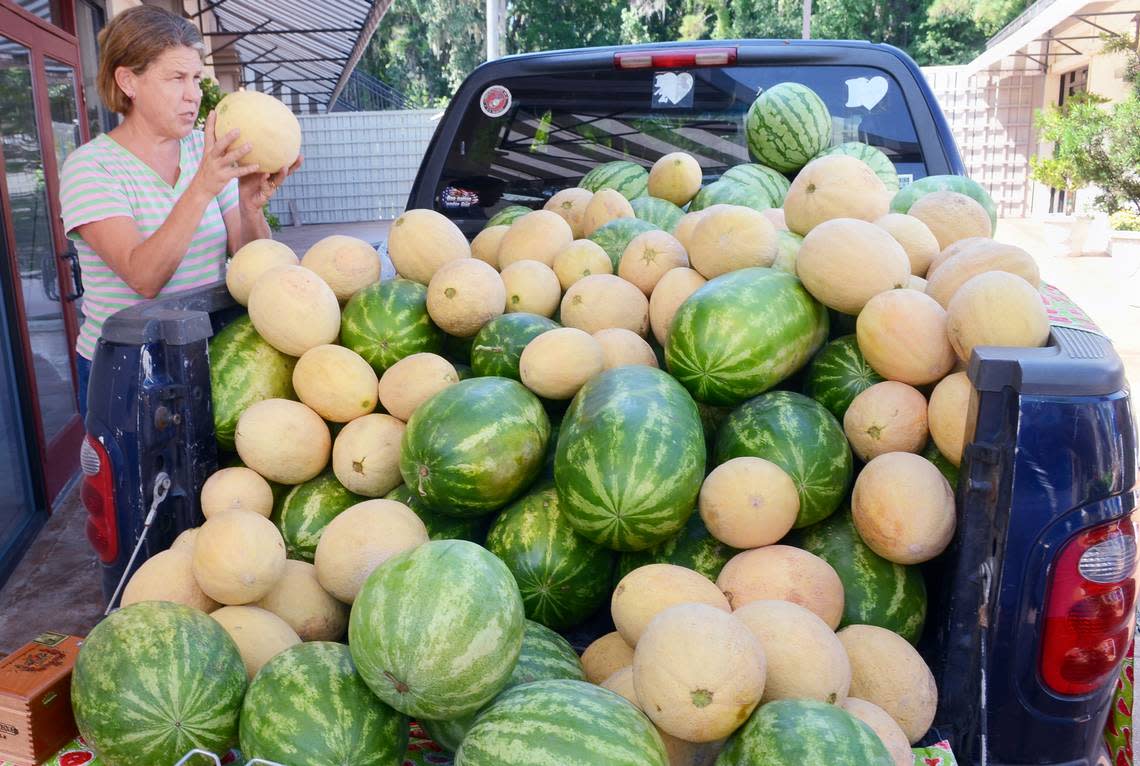 Vicki Long, of Nixville, in Hampton County, S.C., shows a cantaloupe to a prospective customer on Tuesday at the farmer’s market at The Shops at Sea Pines Center. Long arrived with a full truckload of melons she and her husband grow on their farm. She said that between the Sea Pines market, and the one at Shelter Cove Community Park later in the day, she expected to sell the bulk of her load. “Before I go home, I’ll be almost empty,” she said. The Farmer’s Market at Sea Pines Center is held on Tuesdays from 10 a.m. to 2 p.m.