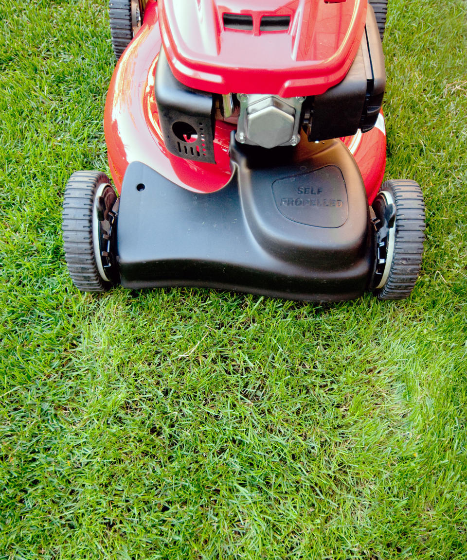 lawn mower on a lawn