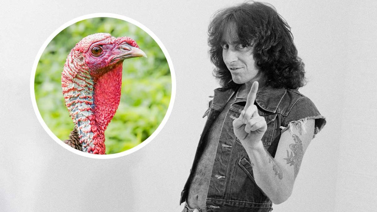 Bon Scott, bir rakibe idrarını içirdiği zamanı hatırlıyor.  bir hindi dışında