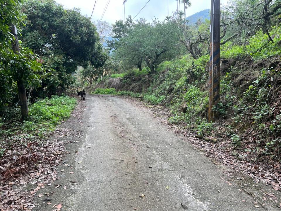 比丘尼陳屍在偏僻的產業道路。（民眾提供）