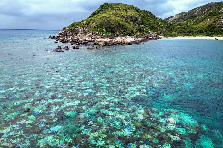 La Gran Barrera de Coral, en Australia. (DAVID GRAY / AFP)